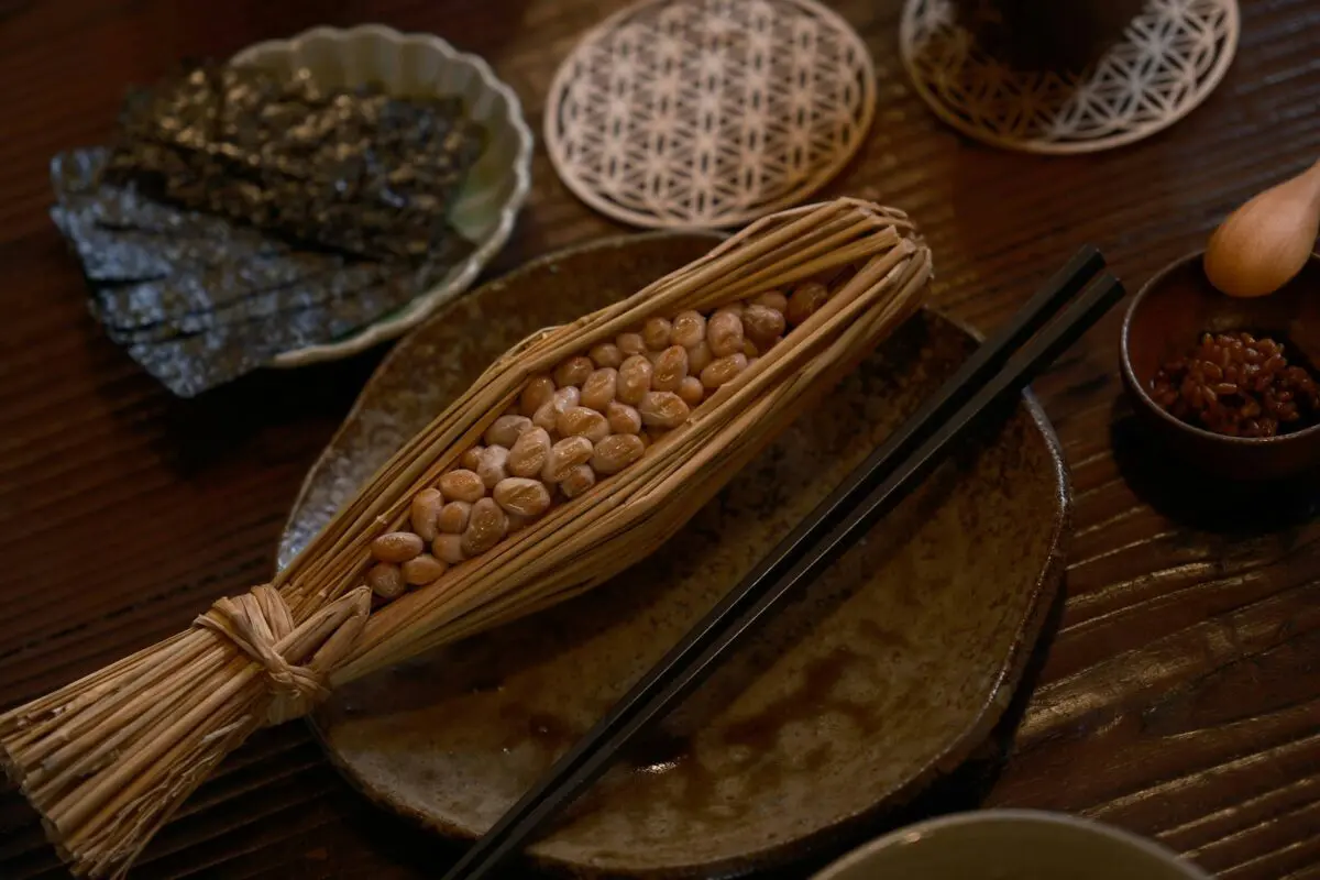 Gesundheit, Verdauung und Langlebigkeit 🧠✨ 1 natto