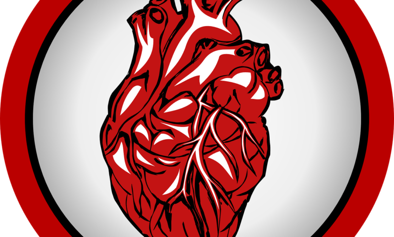 Tipps zur Erhaltung Ihres Herzens 1 durée de vie stent