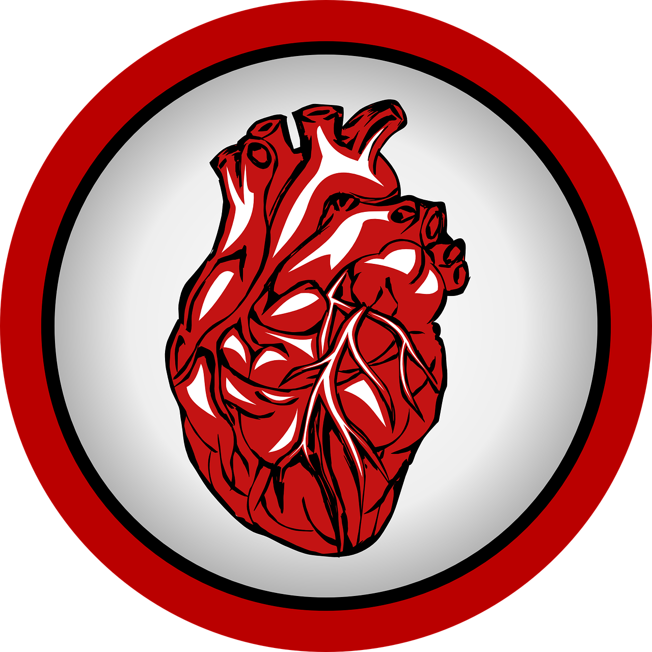 Tipps zur Erhaltung Ihres Herzens 1 durée de vie stent