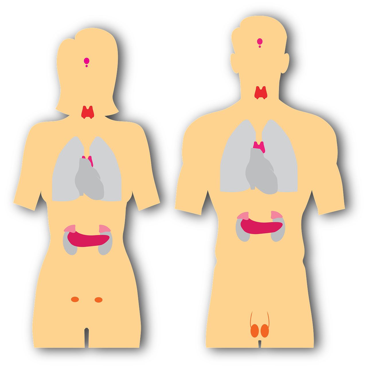 besser verwalten und entlasten 💆♀️🔥 1 douleurs thyroides