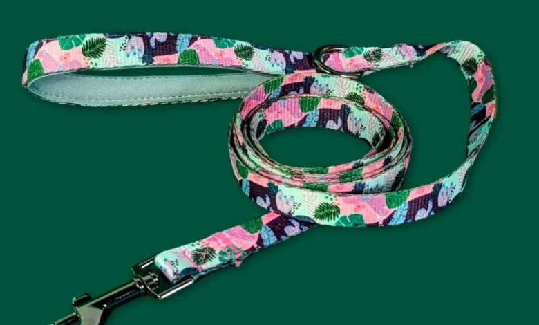 Welche Art von Hundeleine soll ich wählen? 2026 1 Laisse-originale-pour-chien-Cactus