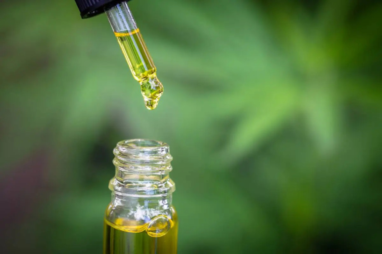 Wie wählt man das richtige CBD-Öl für den täglichen Gebrauch aus? 2026 1 Wie wählt man das richtige CBD-Öl für den täglichen Gebrauch aus? 2026