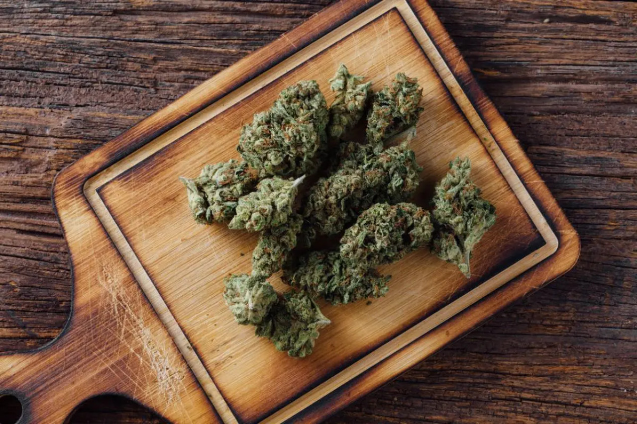 Terpene: was sie über die qualität von CBD-Blüten verraten 1 Terpene: was sie über die qualität von CBD-Blüten verraten