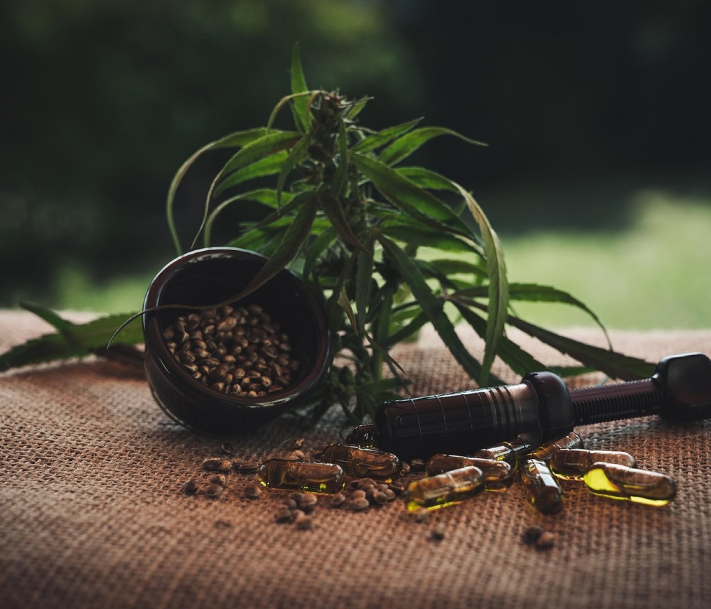 CBD Öl für besseren Schlaf: Dosierung und Anwendung 1 CBD Öl für besseren Schlaf: Dosierung und Anwendung